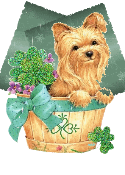 chien